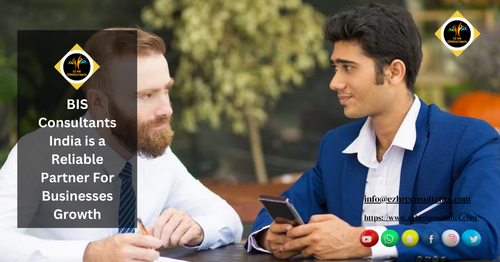 Streamline Your HR Processes with BIS Consultants India.png