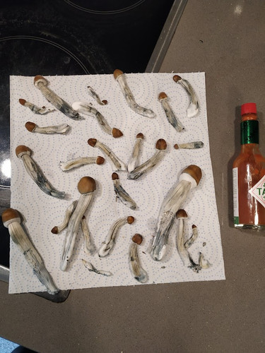 IMG 20230220 143822.jpg