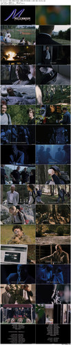 The.Contract.2006.1080p.BluRay.1080p.DTS HD.MA5.1.x265.10bit BeiTai preview.jpg