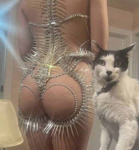 D82F2CAA 69CD 4F07 86AC 762C4EAF38E4