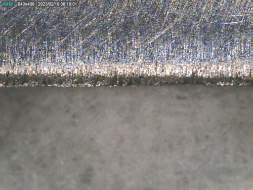 Ashi (nach Ausdünnen).jpg