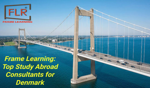 Frame Learning: Finest Study Abroad Consultants for Denmark.jpg