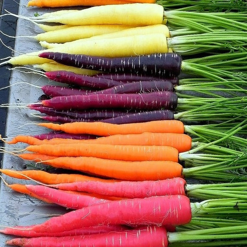 carrot rainbow blend 1.jpg