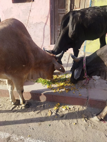 WhatsApp Image 2023 02 18 at 10.04.51 PM.jpg