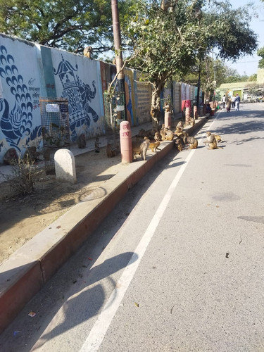 WhatsApp Image 2023 02 18 at 10.04.56 PM.jpg