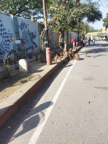 WhatsApp Image 2023 02 18 at 10.04.55 PM (1).jpg