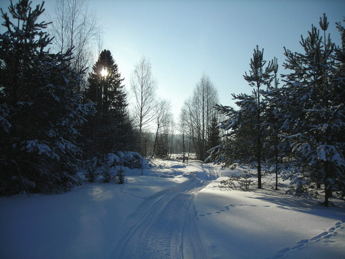 DSCN2015 2.jpg