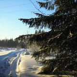 DSCN2026 1