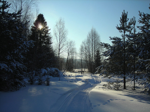 DSCN2016 1.jpg