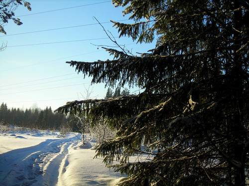 DSCN2024 1.jpg