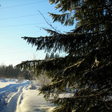 DSCN2024 1