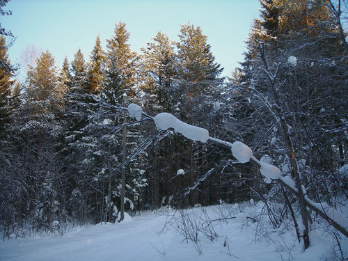 DSCN2027 1.jpg