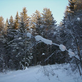 DSCN2027 1