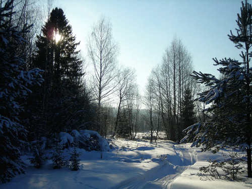 DSCN2017 2.jpg