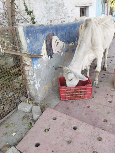 WhatsApp Image 2023 02 18 at 10.04.50 PM (1).jpg