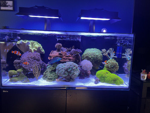 72FE3AB8 648D 464B B441 75F44D402224.jpg