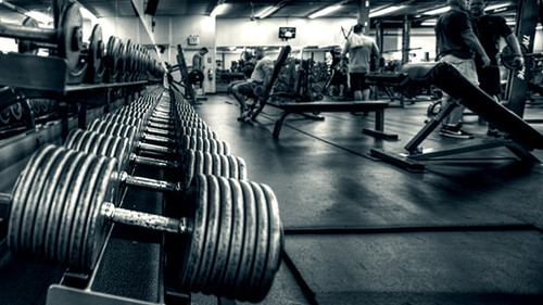 6 Reasons You Should Never Open a Gym.jpg