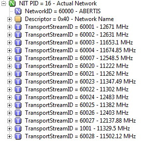 Cellnex NIT table.jpg