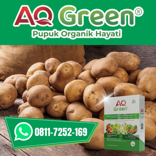 CEPAT SUBUR, Call WA 0811 7252 169 Distributor pupuk organik indra tarigan di Lampung Timur.jpg