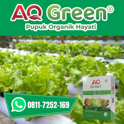 BELI SEKARANG, Call WA 0811 7252 169 Pabrik pupuk organik herbafarm di Lampung Timur.jpg