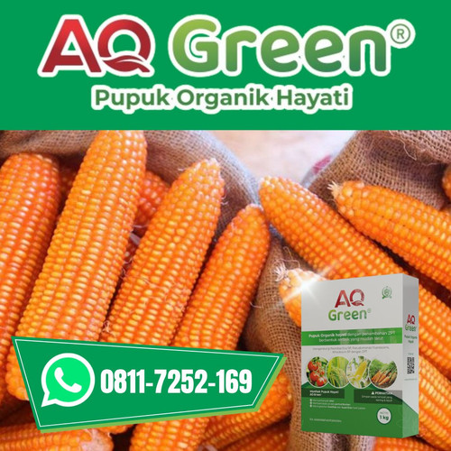 BERKUALITAS, Call WA 0811 7252 169 Supplier pupuk organik hayati cair di Lampung Timur.jpg