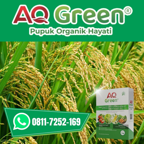 TERMURAH, Call WA 0811 7252 169 Grosir pupuk organik hijau di Lampung Timur.jpg