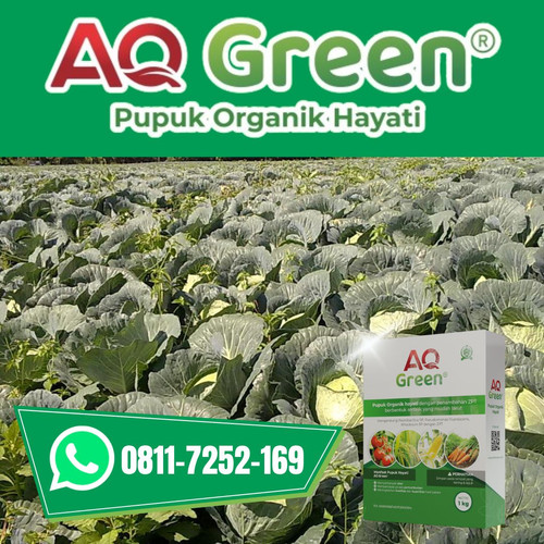 TERBUKTI, Call WA 0811 7252 169 Toko pupuk organik hidroponik di Lampung Timur.jpg