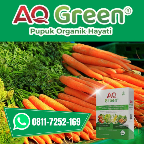 TERCEPAT, Call WA 0811 7252 169 Distributor pupuk organik hayati cair di Lampung Timur.jpg
