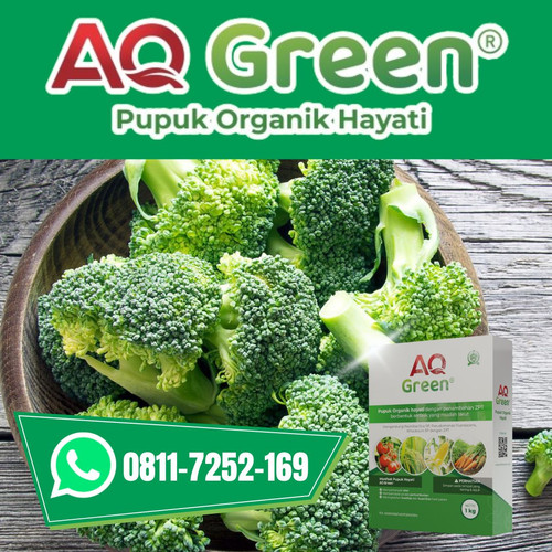 PALING LARIS, Call WA 0811 7252 169 Grosir pupuk organik itu saja di Lampung Timur.jpg