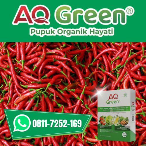 TERBUKTI AMAN, Call WA 0811 7252 169 Supplier pupuk organik hantu di Lampung Timur.jpg