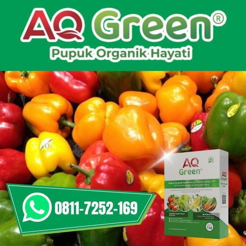 TERPERCAYA, Call WA 0811 7252 169 Jual pupuk organik hayati di Lampung Timur.jpg