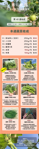 20221120 W48 青菜訂購單 3陽明 画板1 副本 23.png