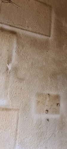 1668946004653.jpg