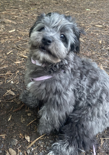 6F514854 8EBE 42B6 9041 0EE74D433D86.jpg