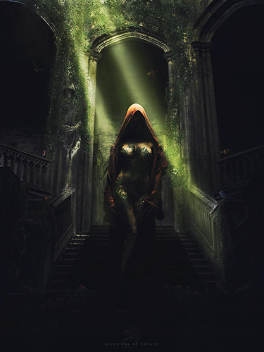 priestess of nature by drake1024 d3196qw fullview.jpg