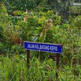 kepis ulu.jpg