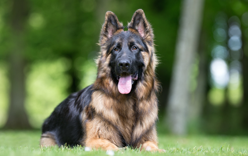 5d9d9314669a9.png