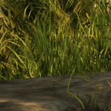 7093a4f311c5.png