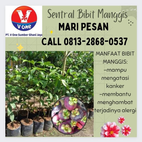 IMG 20221121 050144 157.jpg