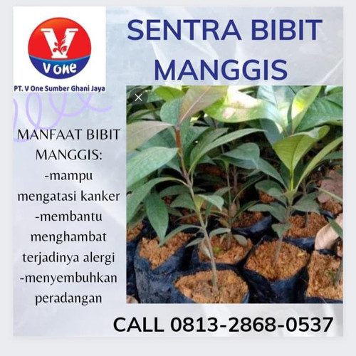 IMG 20221121 050035 725.jpg