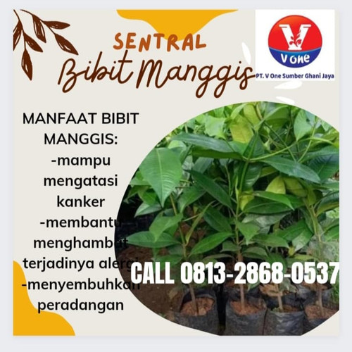 IMG 20221121 050059 119.jpg