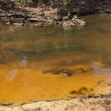 Queensland gazebo 1.png