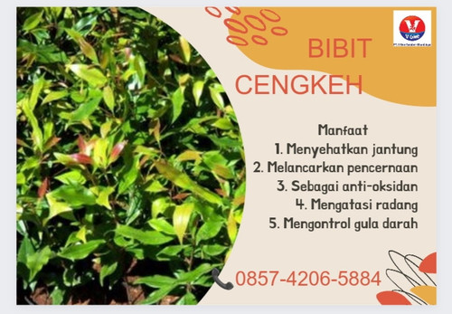 IMG 20221120 074739.jpg