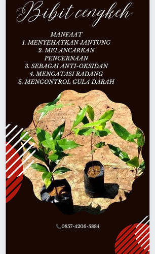 IMG 20221120 074753.jpg