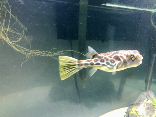 F2EAE803 F5E2 4F95 9C51 3C272B9BA8AB.jpg