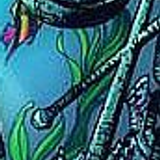 ariel6x8 44