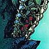 ariel6x8 2
