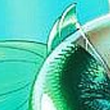 ariel6x8 20