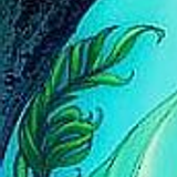 ariel6x8 3