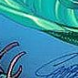 ariel6x8 14